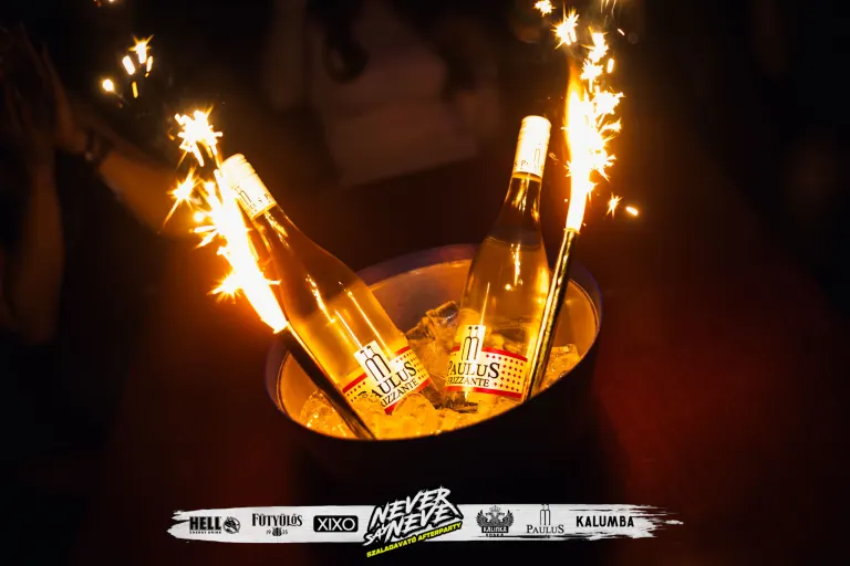 #GD SZALAGAVATÓ AFTERPARTY | 2024.11.30. SZEGED THE FLOW - 37. fotó