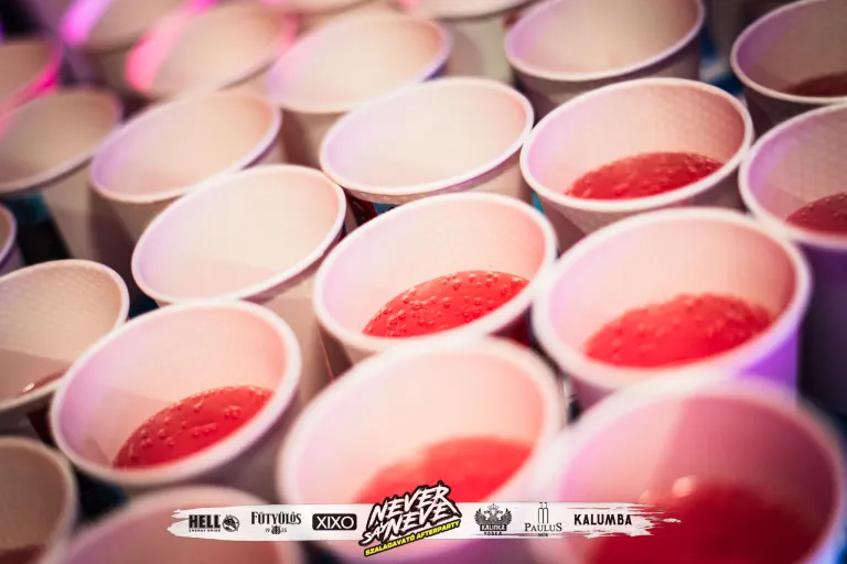 #GD SZALAGAVATÓ AFTERPARTY | 2024.11.30. SZEGED THE FLOW - 86. fotó